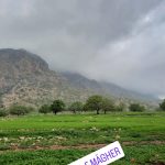 peyman3415